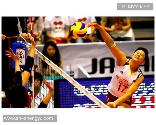 张磊的排球人生：从赛场拼搏到心灵成长的对话分享