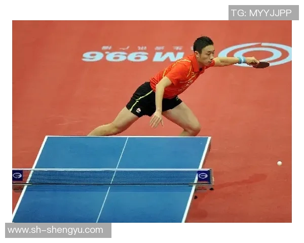 成都乒乓球队实力分析与发展前景探讨聚焦乒乓球运动的未来潜力