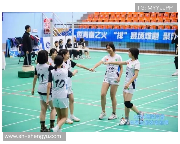 西安排球队的拼搏之路：一段关于排球的奋斗与梦想的真实记录