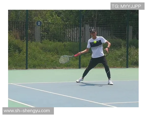 重庆网球队在全国网球耐力排行榜中荣获第八名的佳绩引发关注